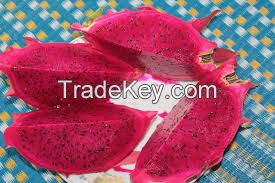 DRAGON FRUIT, CHEAP PRICE, PREMIUM QUALITY