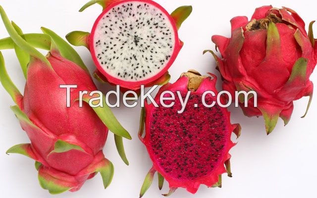 TROPICAL FRUIT, DRAGON FRUIT, CHEAP PRICE