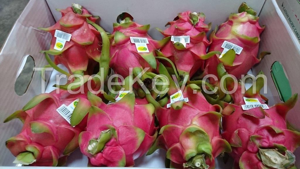 OFFER DRAGON FRUIT, CHEAP PRICE