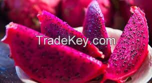 DRAGON FRUIT-VIETNAM FRUIT, CHEAP PRICE