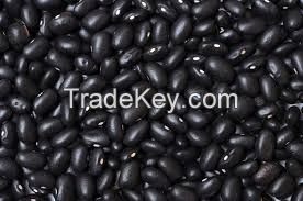 Black Beans