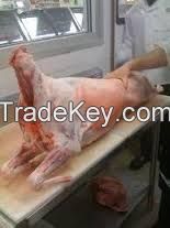 Mutton Carcass and parts