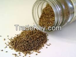 Celery seed extract