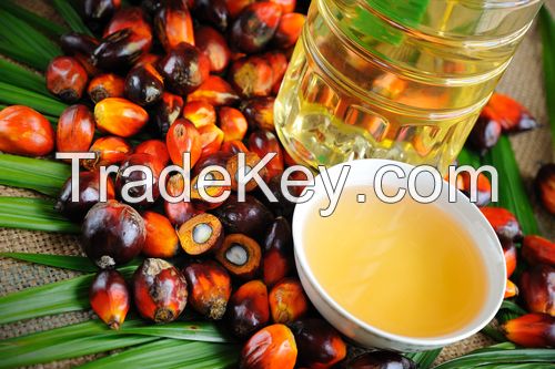 refined palm oil