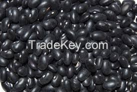 Black Kidney Bean AN ALL TYPES OF QUALITY BEANS FOR SALE