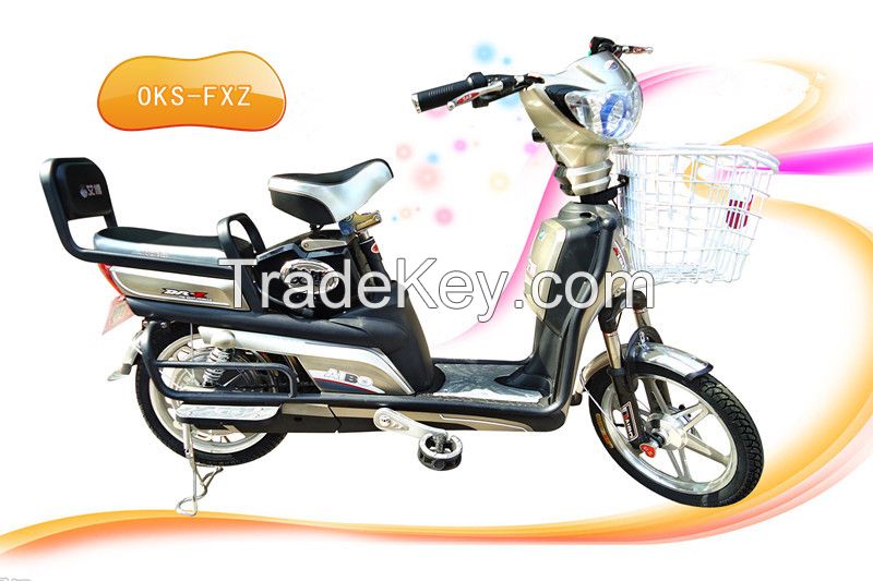 Sell Electric Bicycle (OKS-FXZ)