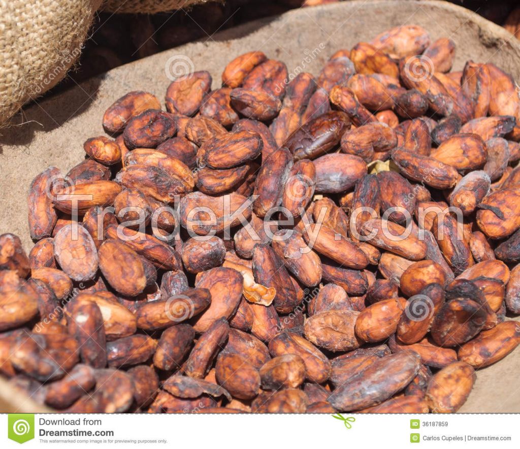 Sell DRY COCOA BEAN