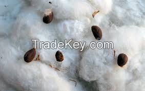 Raw Cotton