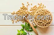 Soybeans