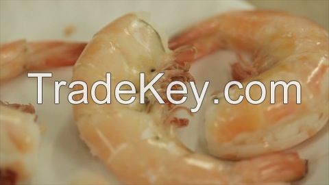 Full Organic Peeled Shrimp Prawn