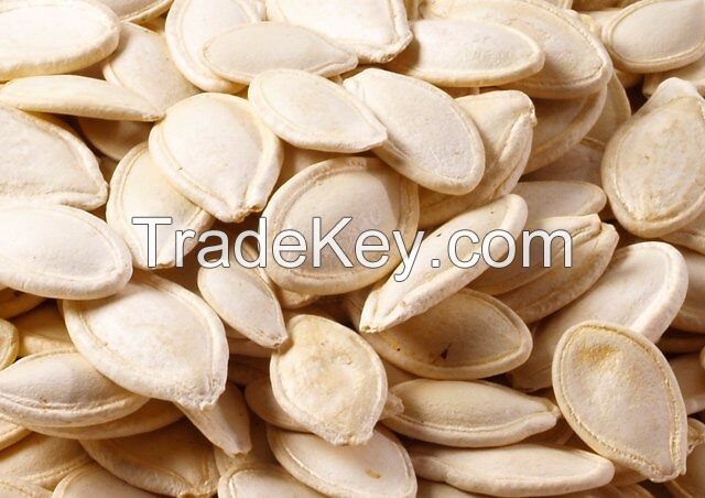 Dried Organic Pumpkin Seeds  Kernels