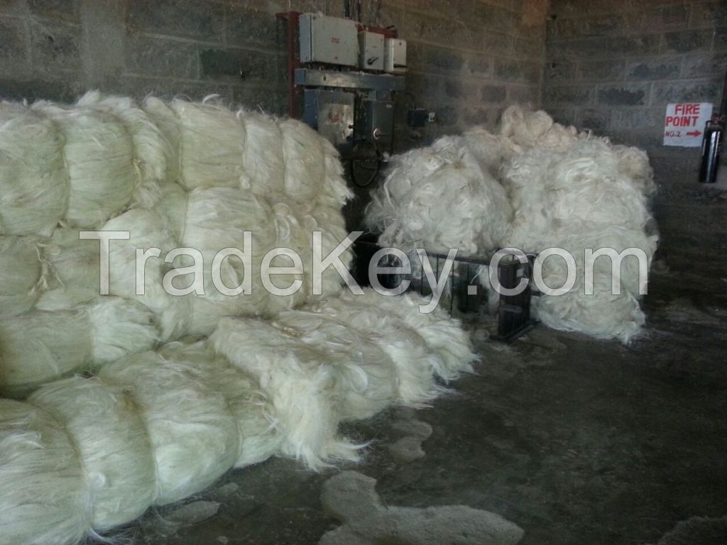 100% Natural Sisal Fiber with Free Samples