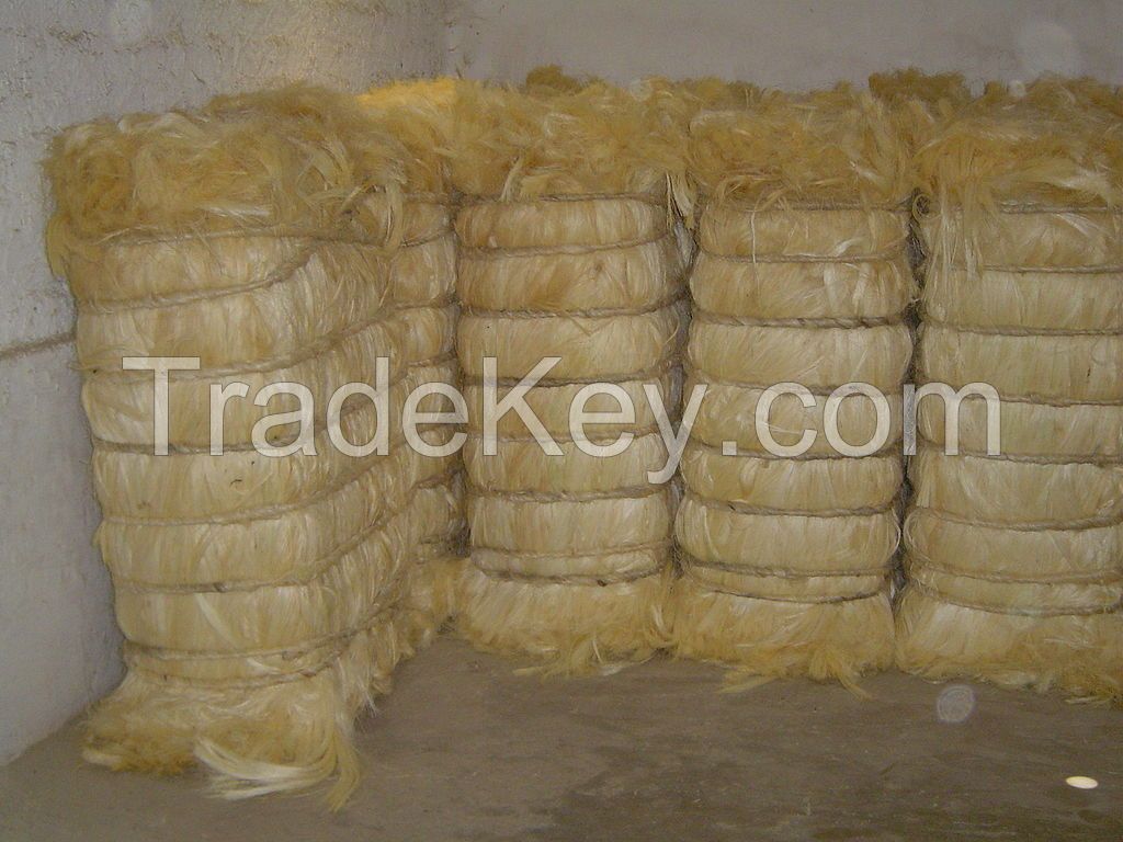 Sell Natural Sisal Fiber