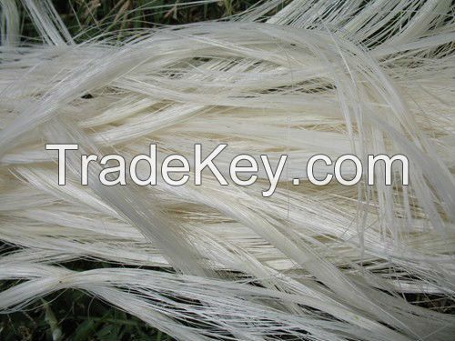 Tanzania Sisal Fiber Ug Grade