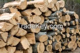 FIREWOOD