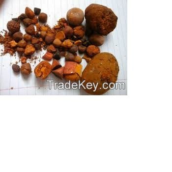 GALLSTONES (OX, COW)