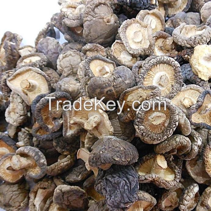 Dried Mushrooms _DRIED MUSHROOMS