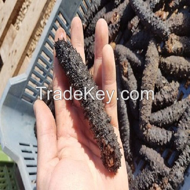 Dry Sea Cucumber