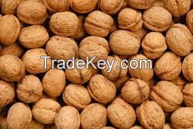 Walnuts