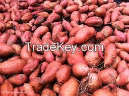 Fresh Sweet Potatoes