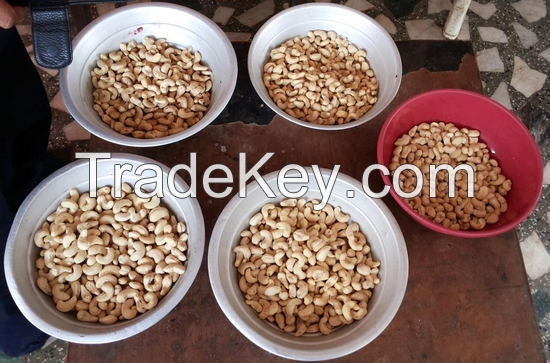 Sell Raw and roasted Cashew Nuts