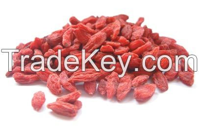 dry fruits organic dried blueberries goji berry