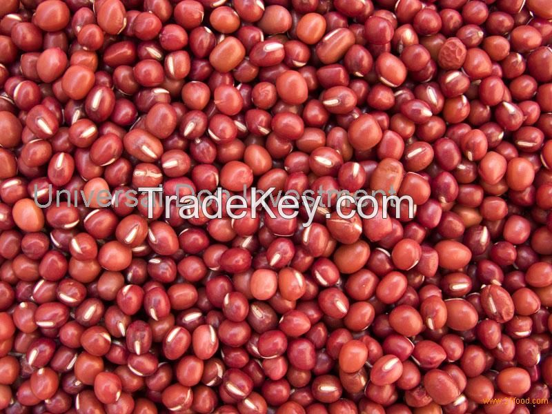 Red sorghum