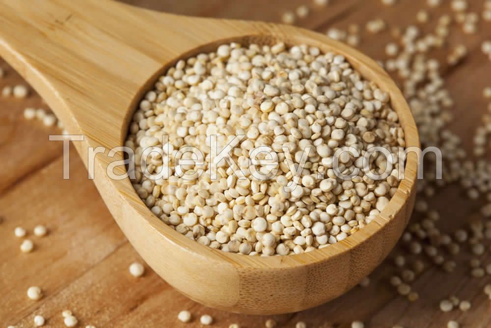 white quinoa for sale