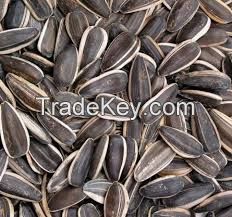 Sunflower Seeds