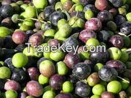 Fresh Olives