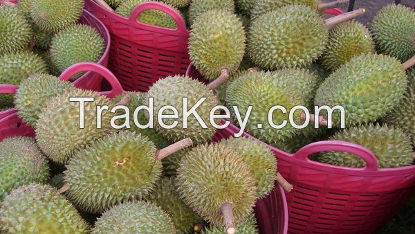 Fresh Durians