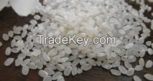 Japonica Rice