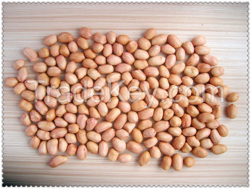 long type red skin china big size peanut