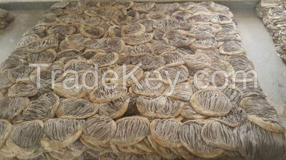 Salted Froezen/Dried Beef Omasum/processed omasum/salted omasum