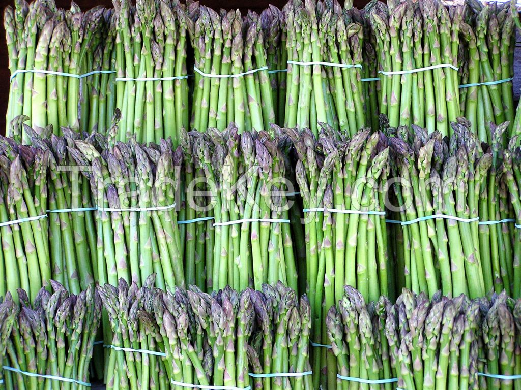 Non-Gmo Frozen Green Asparagus