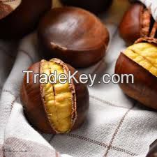 dry chestnut