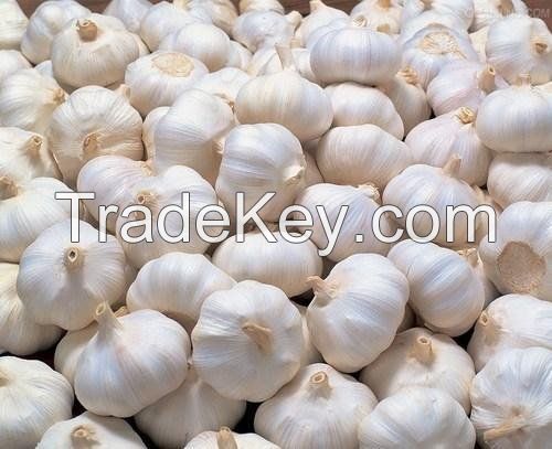 White Garlics