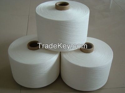 Polyester Yarn