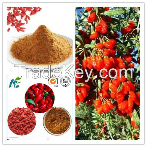 GMP Factory Supply Nature Organic Goji Berry Freeze Dried Powder