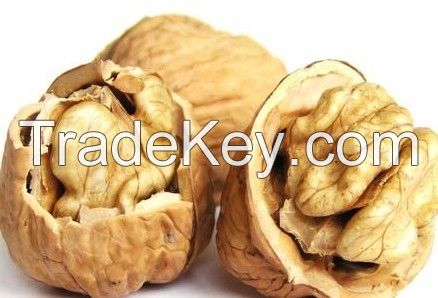 Sell Organic Walnuts