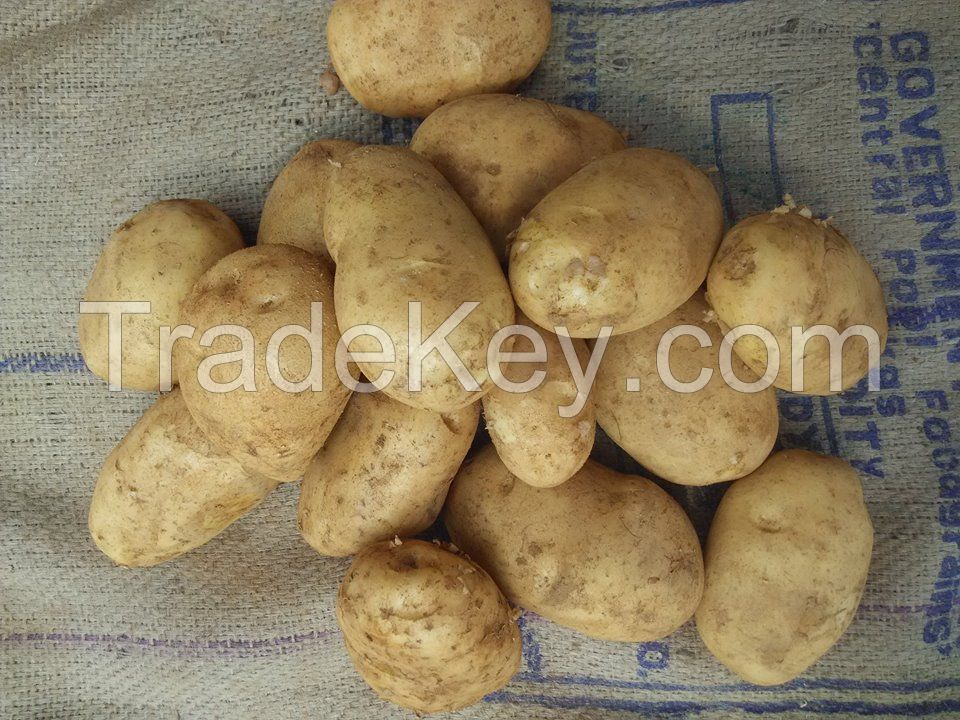 Sell Fresh Potatoes