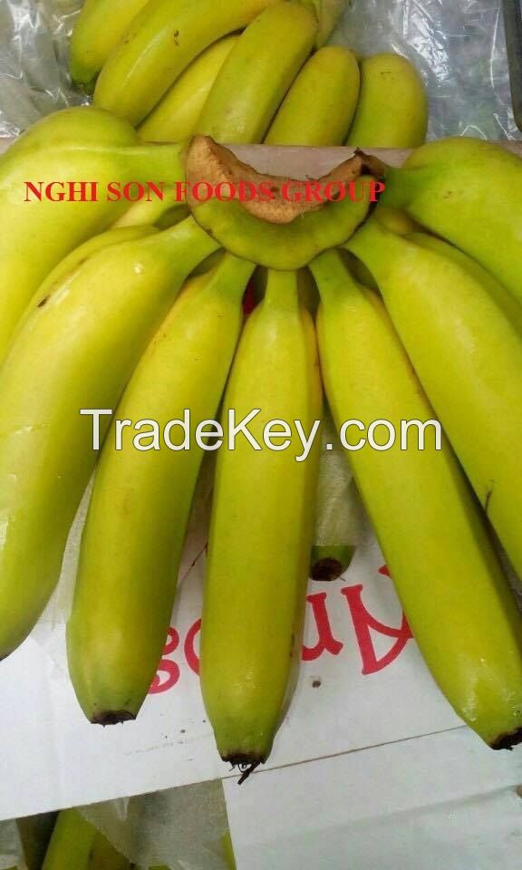 Fresh Cavendish Bananas