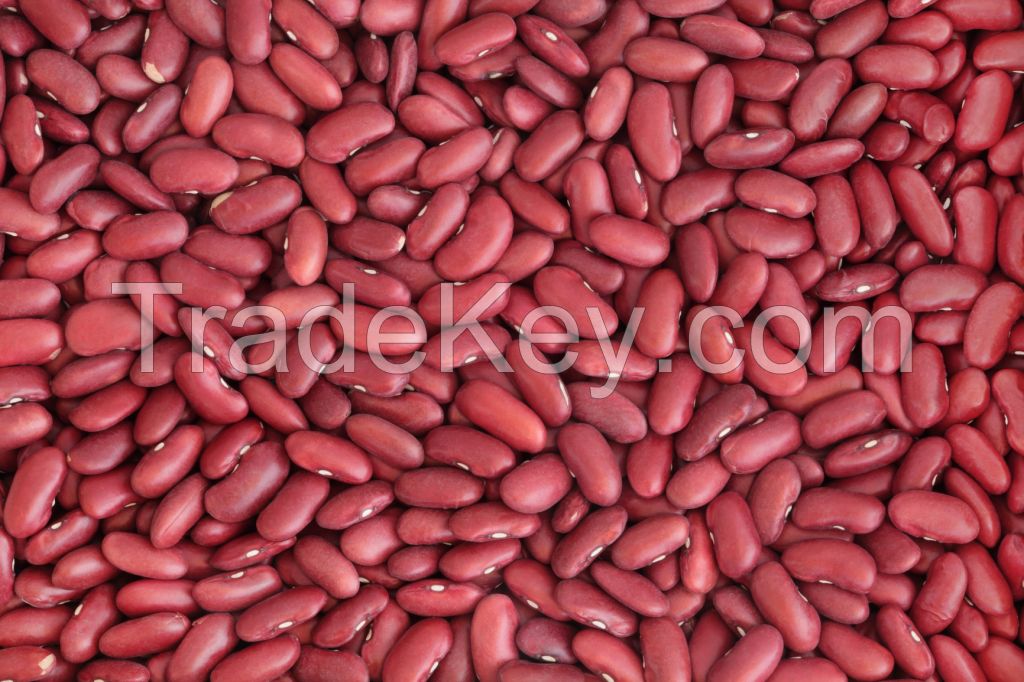 kidney beans