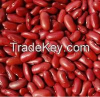 Red Kidney Beans for Sale