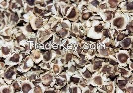 Moringa seeds