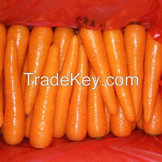 Fresh Carrots