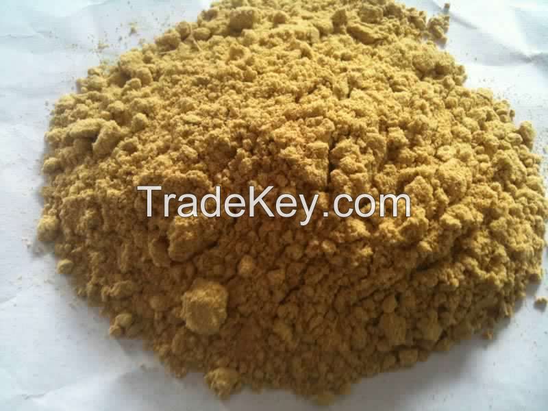 Dehydrated Ginger Powder