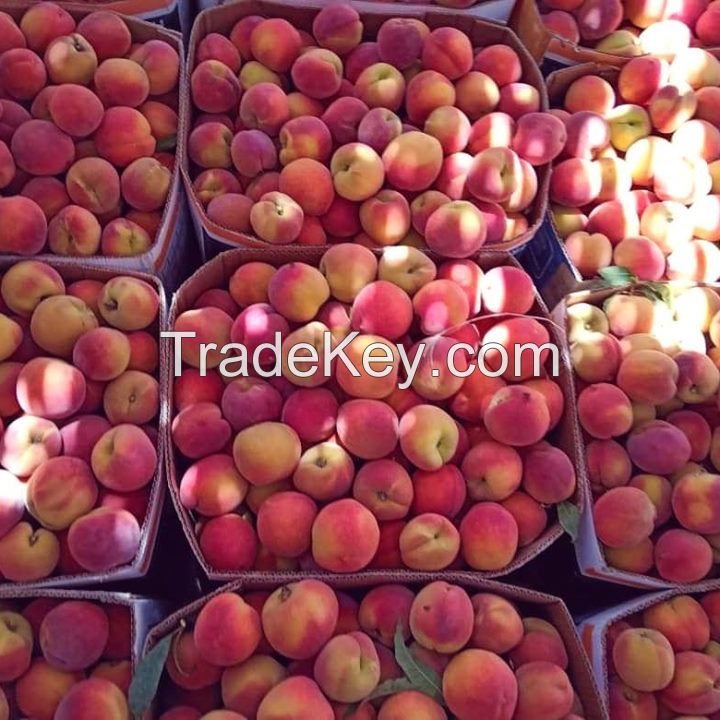 Fresh Peaches