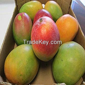 Fresh Mangos