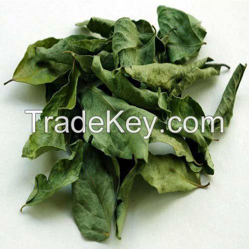 Dried Curry Leaves